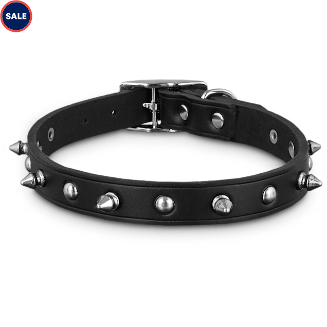 Spiked puppy collar