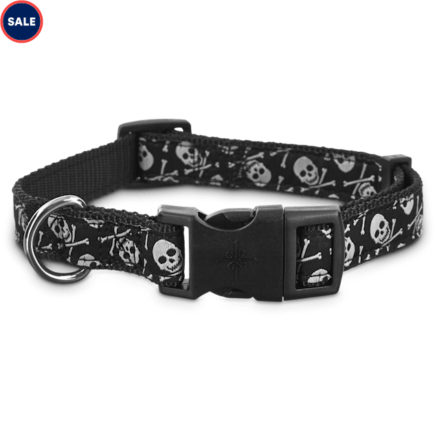 Skull dog collar Clearance