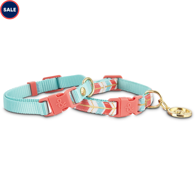 Miniature dog collars Sale
