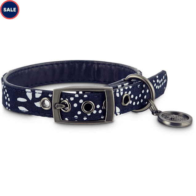 Xxs small dog collar clearance