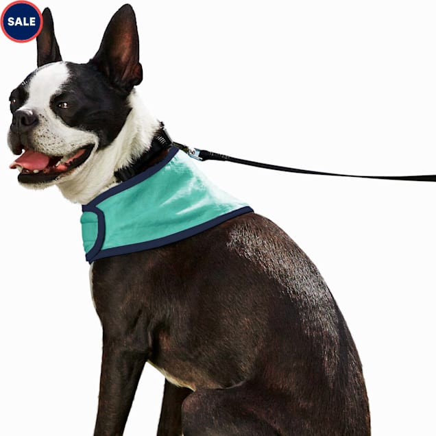Petco cooling vest clearance