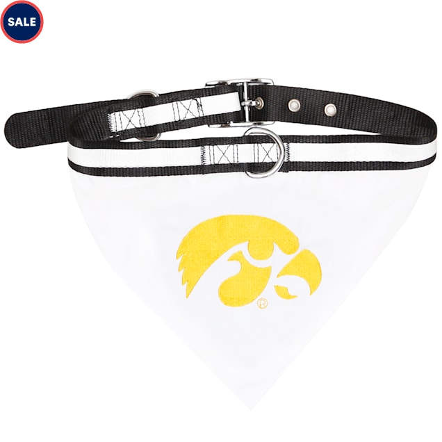 Iowa hawkeye dog bandana