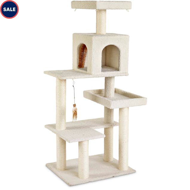petco