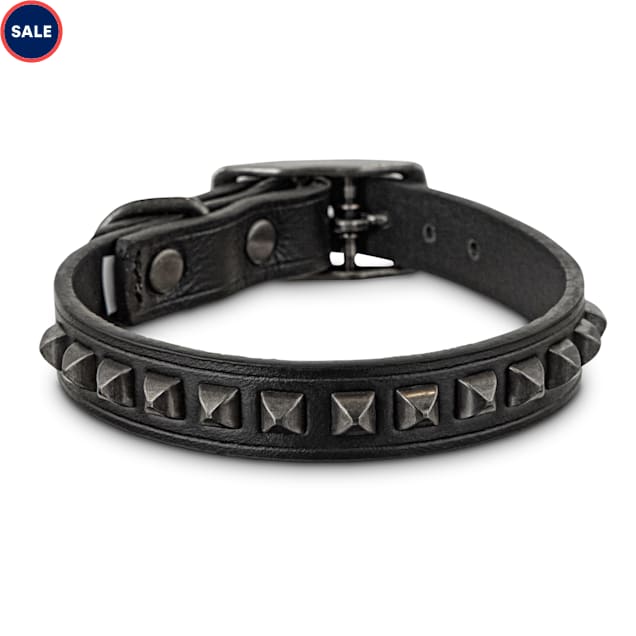 Stud dog collar