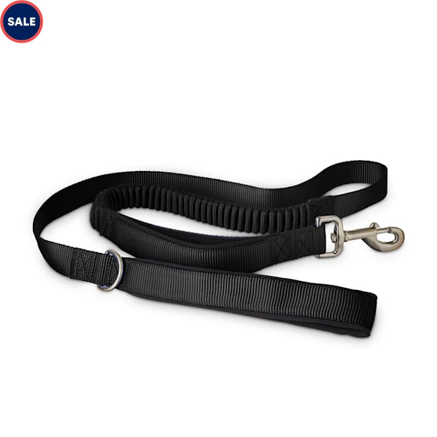 Dog lead with shock absorber clearance