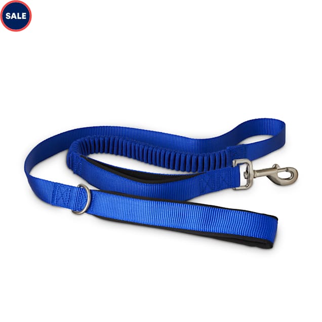 Good2go dog leash Clearance