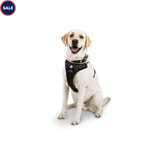 Good2Go Black Front Walking Dog Harness