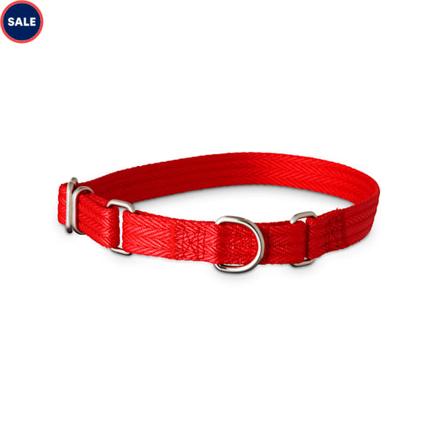 Good2go martingale dog collar clearance