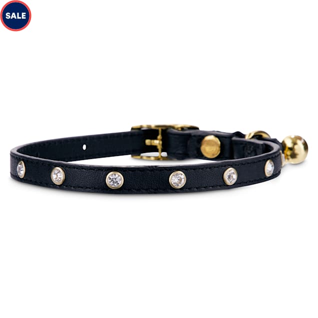 safe kitten collars