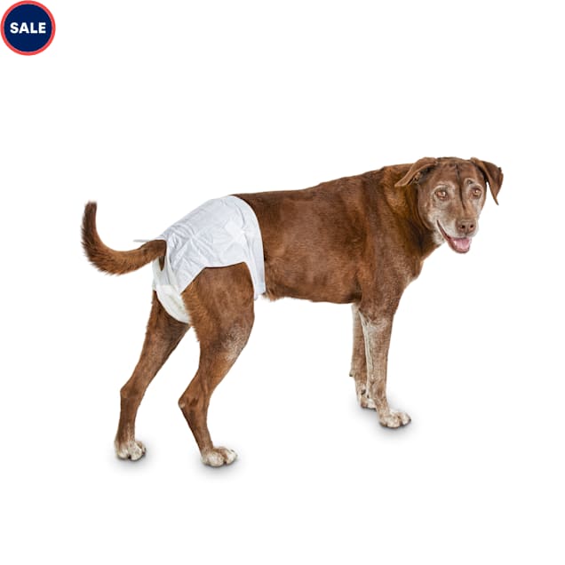 So Phresh Comfort Dry Disposable Dog