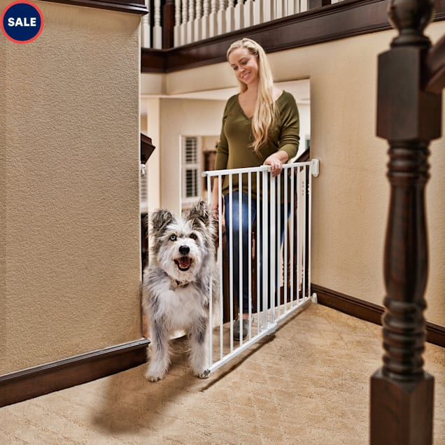 You and me walk thru luxe pet gate Clearance