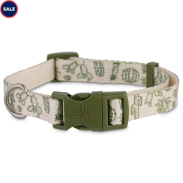 cactus dog collars