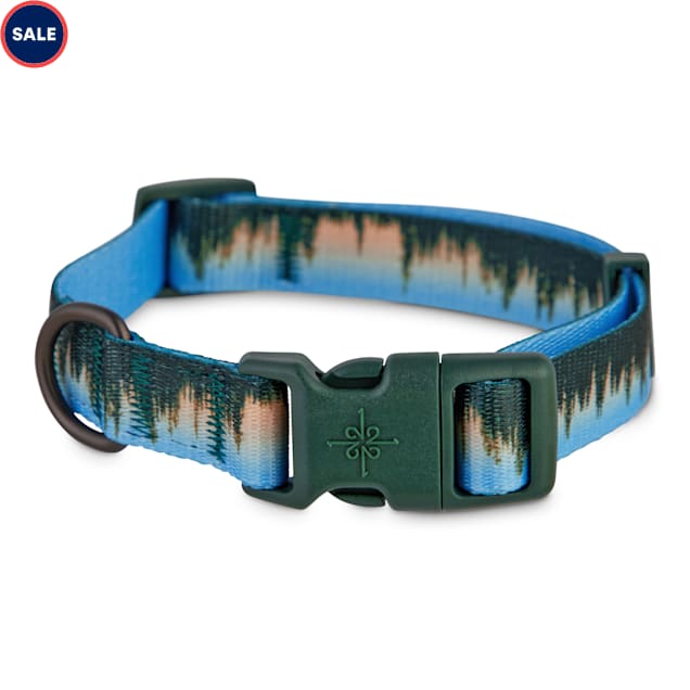 Dog collars outdoors Clearance
