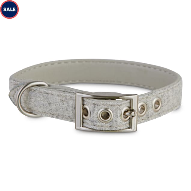 Gray dog collar clearance