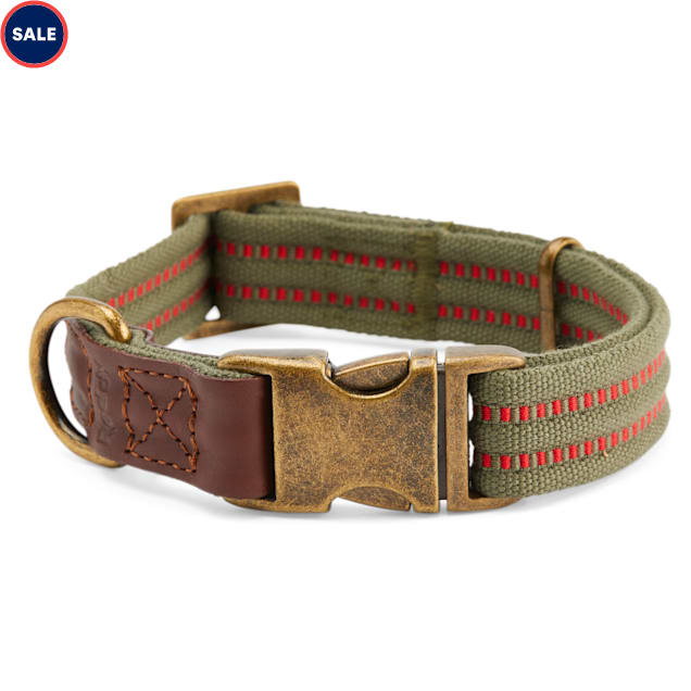 Petco reddy collar Clearance