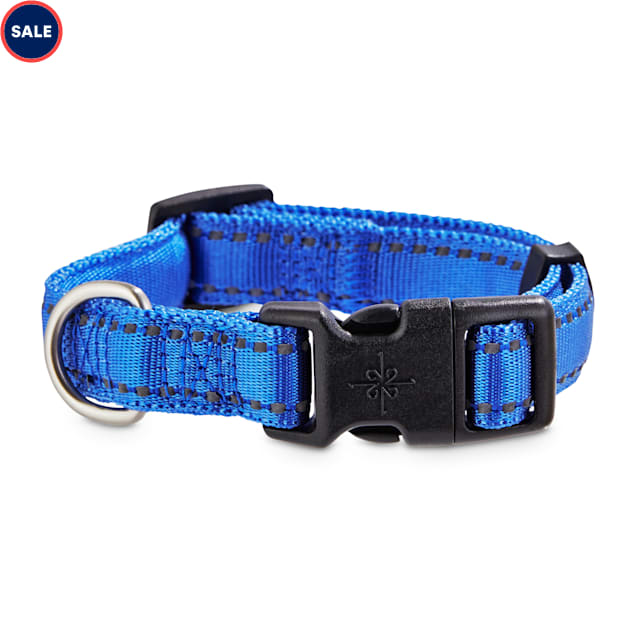 Good2go reflective dog collar Clearance
