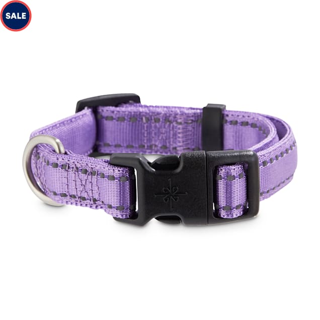Good2go reflective dog collar Clearance