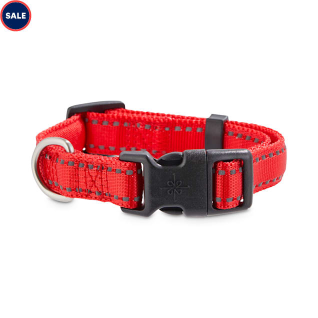 Good2go reflective dog collar Clearance