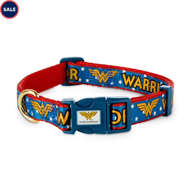 DC Comics Justice League Wonder Woman