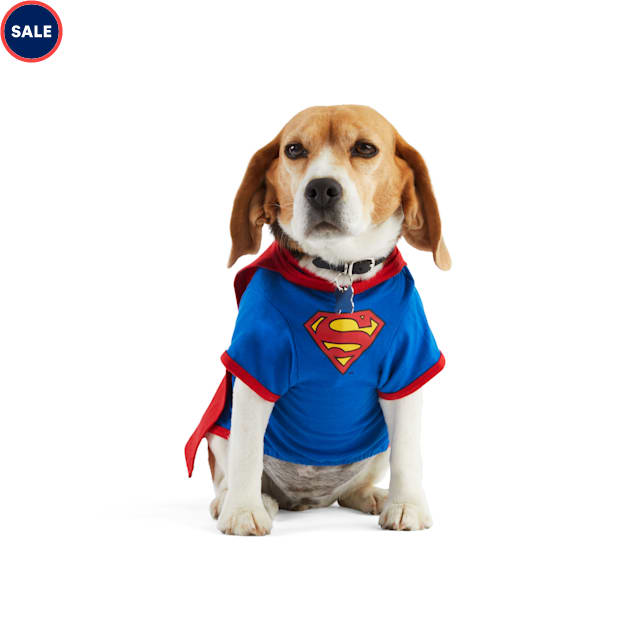 DC Comics Justice League Superman Pet T
