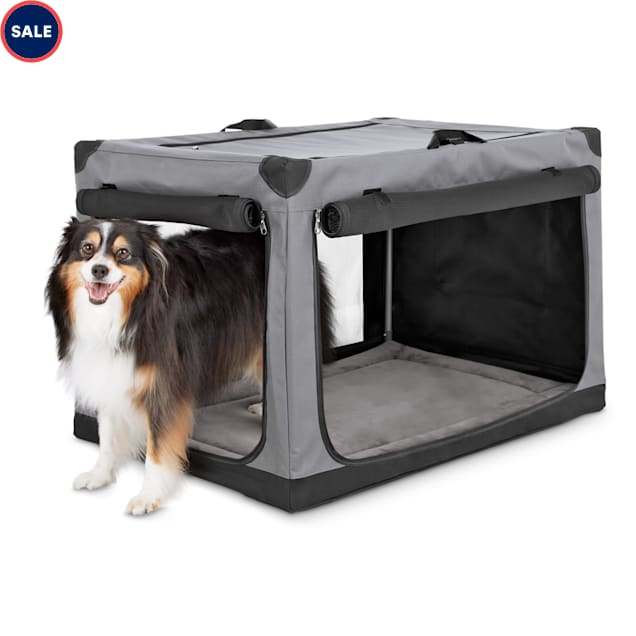 Potty training puppy apartment petco sale