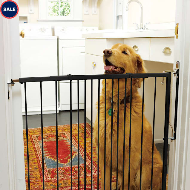 Cardinal Gates Any Angle Duragate Black Pet Gate 41 5 L X 2 W X 29 5 H Petco