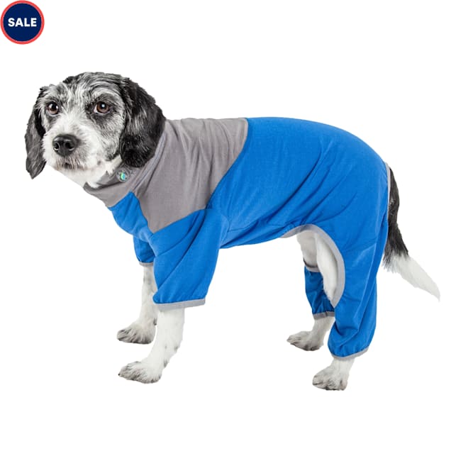 miniature dog sweaters