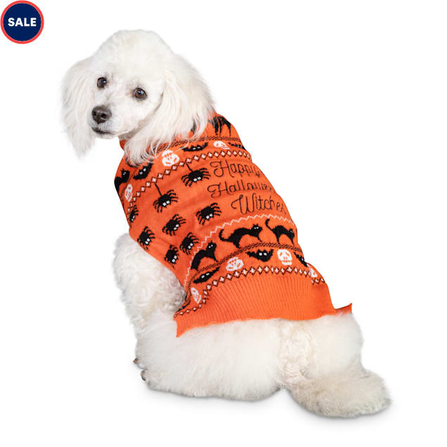 Sweaters for dogs petco Clearance