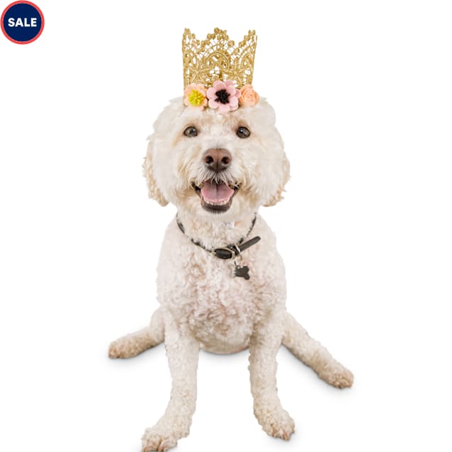 Dog birthday tiara clearance