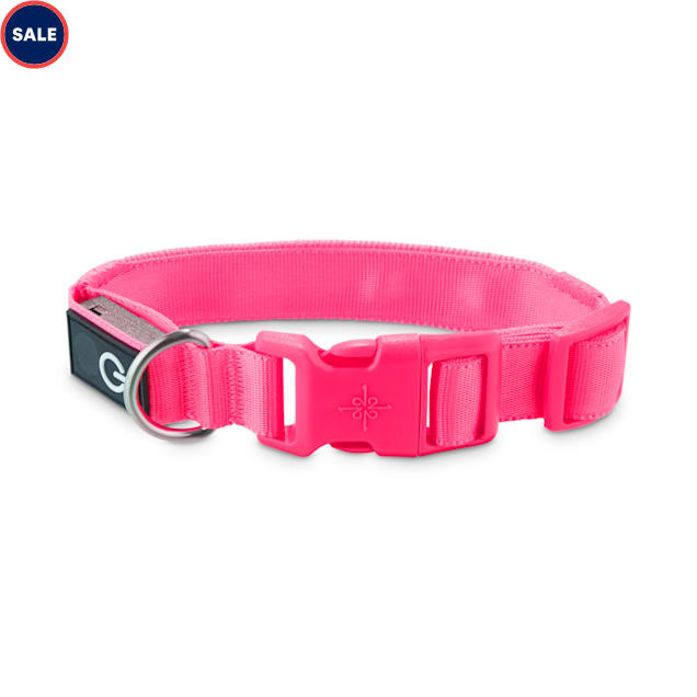 Good2go light up dog collar clearance