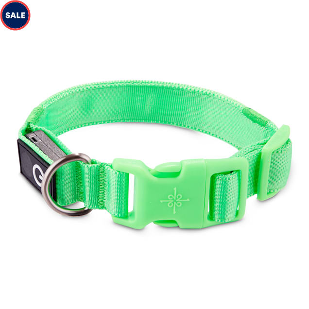 Good2Go Neon Green LED Light-Up Dog