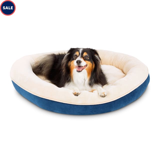 EveryYay Essentials Snooze Fest Blue Round Dog Bed, 34" L X 34" W Petco