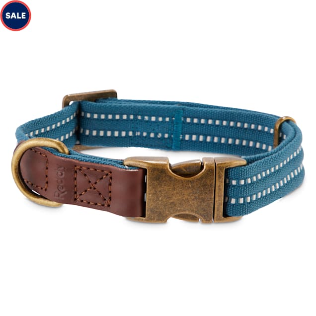 Reddy Slate Blue Webbed Nylon Dog