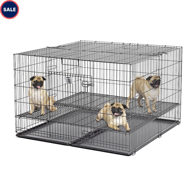 midwest puppy playpen with floor grid