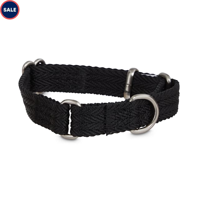 Good2go martingale dog collar clearance