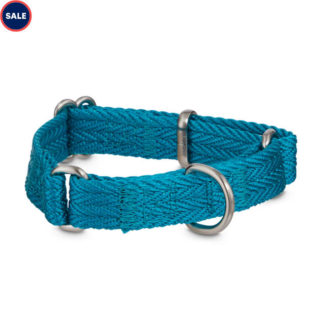 Good2go martingale dog collar clearance