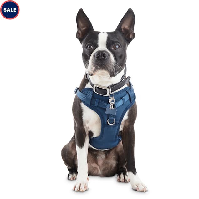 Cushioned dog harness Clearance