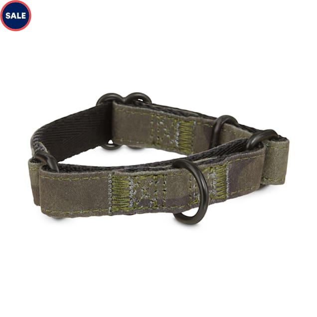 Extra small martingale dog collar clearance