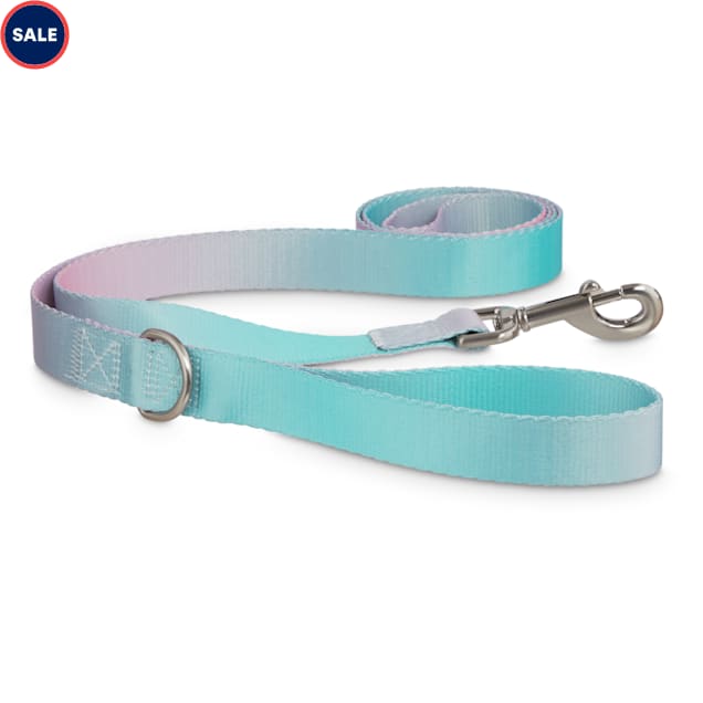 Teal dog collar and leash Clearance