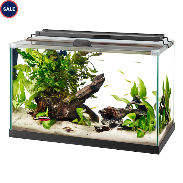aqueon rimless black tank aquarium 10 gallon