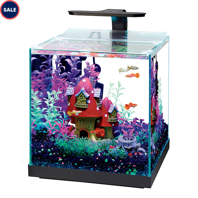 petco