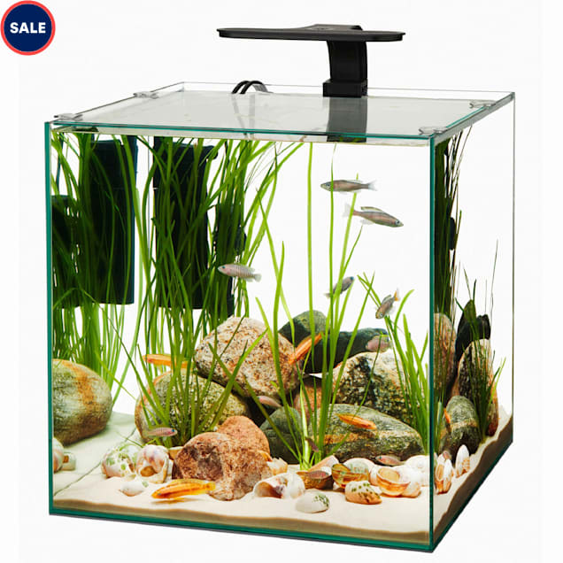 aqueon frameless cube aquarium 14 gallon