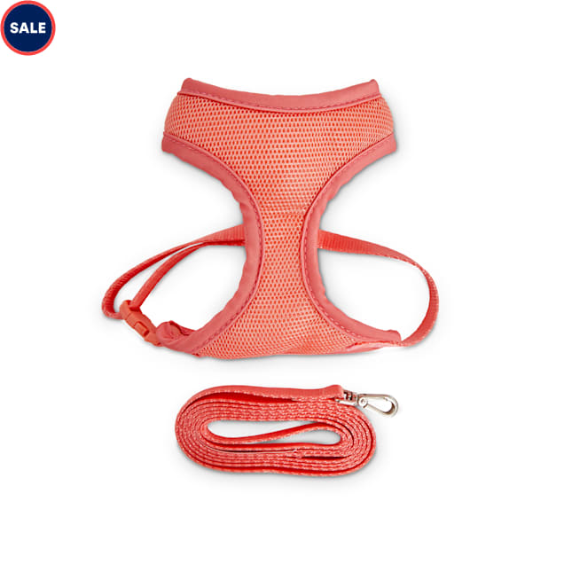 Petco harness and leash