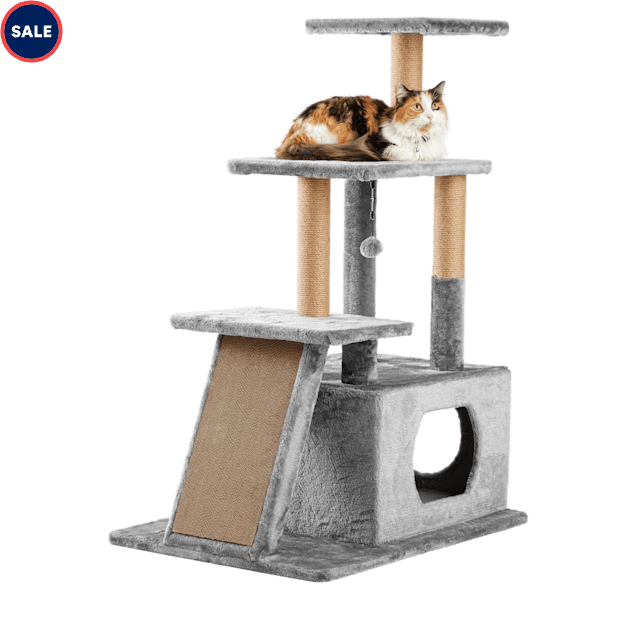 petco