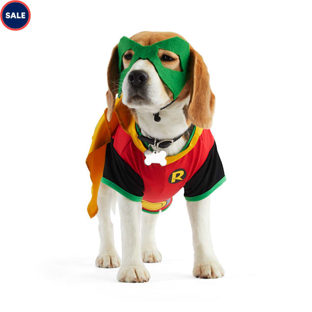 Aquaman dog costume Clearance