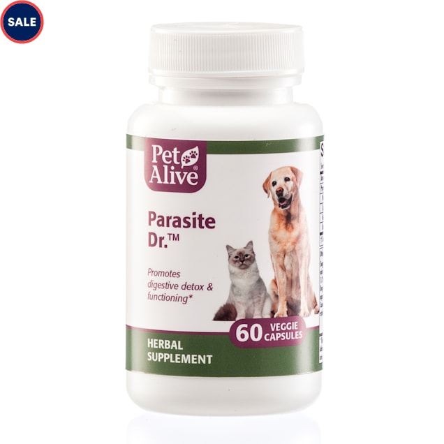 Cloves for parasites in dogs