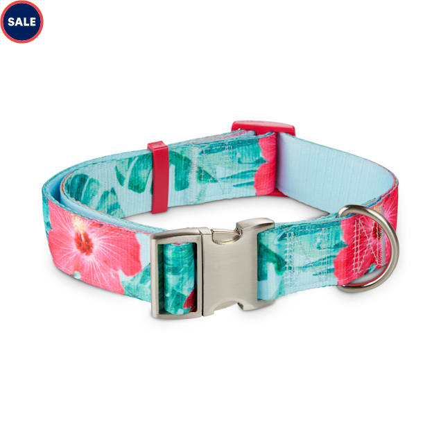 Big dog collars for sale Clearance