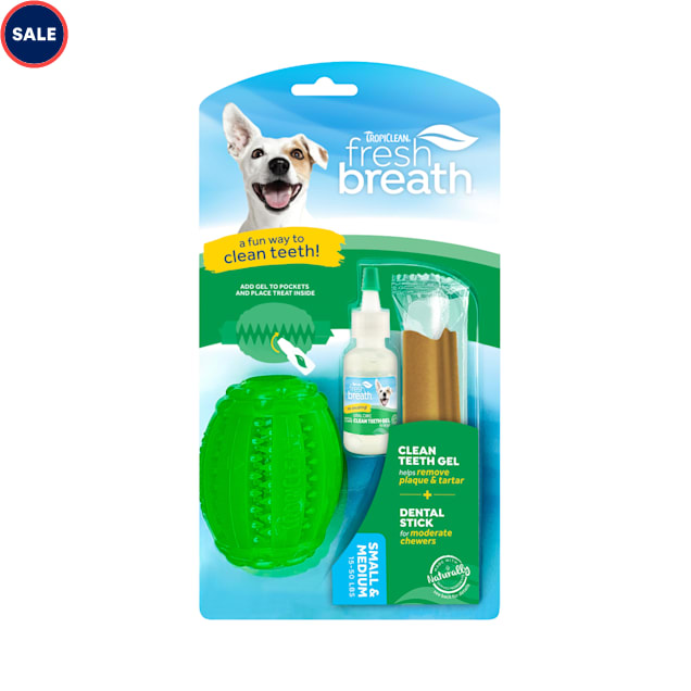 TropiClean Fresh Breath Fresh N Fun Dental Chew Toy for Small & Medium Dogs - Carousel image #1