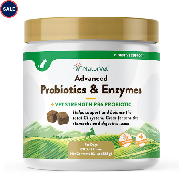 NaturVet Advanced Probiotics & Enzymes Plus Vet Strength PB6 Probiotic Soft Chews for Dogs, 10.1 oz., Count of 120 - Carousel image #1