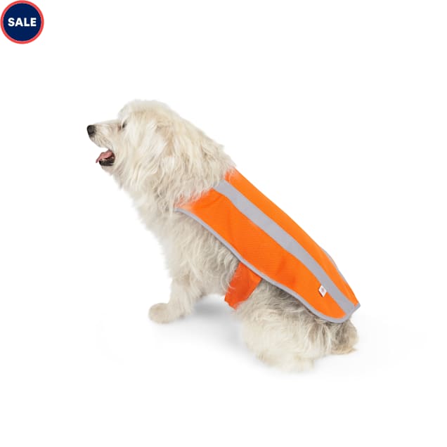 Youly dog life jacket clearance